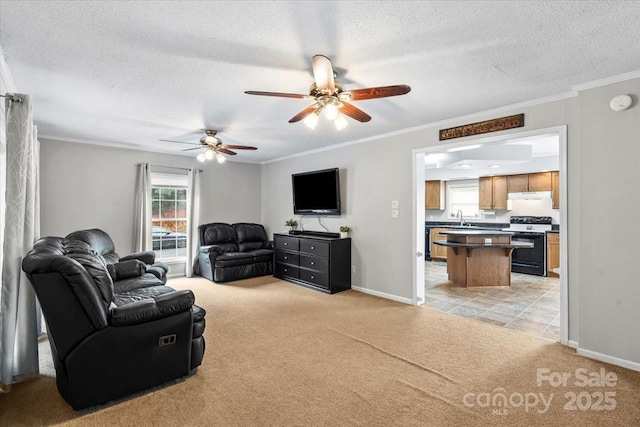 1764 Tomlinson Loop, Connelly Springs, NC 28612 - living room featuring light colored carpet, ceiling fan, a textured ceiling, and ornamental molding