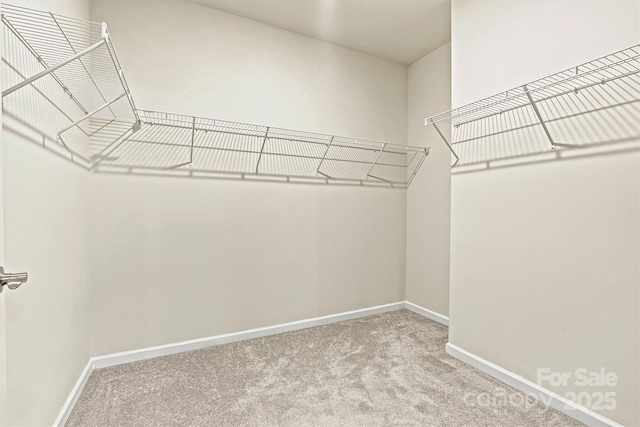 5846 Oak Branch Cir, Maiden, NC 28650 - spacious closet with carpet flooring