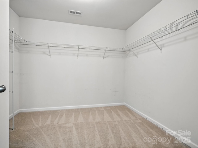1000 Hudson Mill Dr, Waxhaw, NC 28173 - photo 32