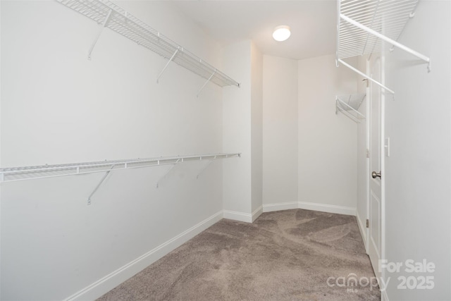 1007 Moose Trl, Matthews, NC 28104 - photo 13