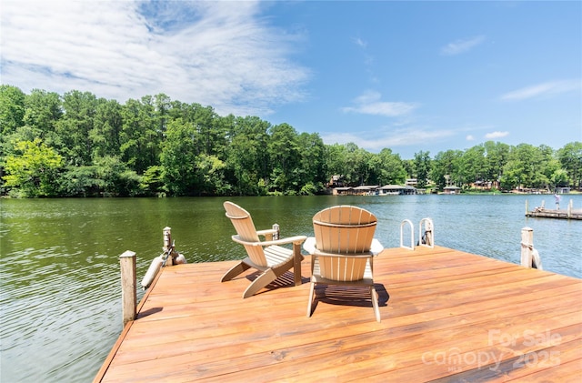 9807 Pine Tree Rd Unit 168, Norwood, NC 28128 - photo 4