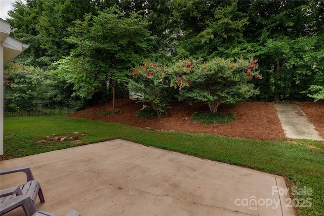 1993 W Foxwood Ct, Indian Land, SC 29707 - view of yard featuring a patio