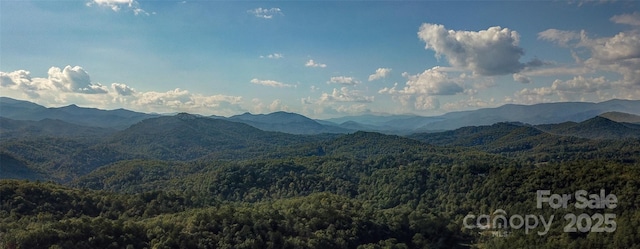 425 Sawmill Creek Rd, Bryson City, NC 28713 - view of mountain backdrop with a heavily wooded area