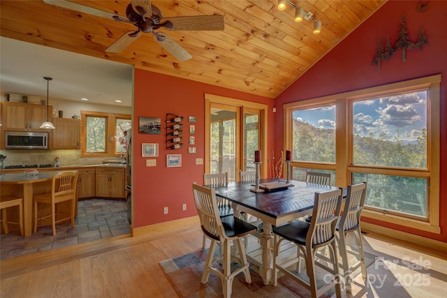 425 Sawmill Creek Rd, Bryson City, NC 28713 - dining space featuring wooden ceiling, vaulted ceiling, light wood finished floors, a ceiling fan, and track lighting