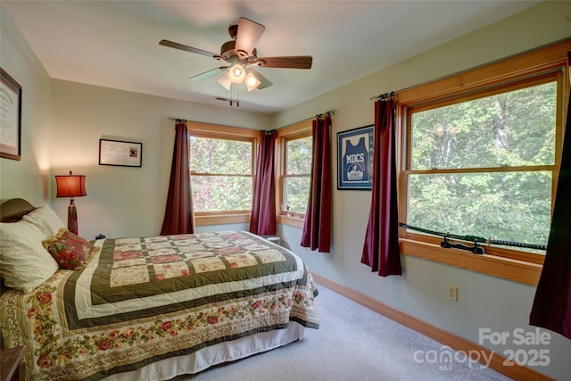 425 Sawmill Creek Rd, Bryson City, NC 28713 - bedroom with carpet flooring and a ceiling fan