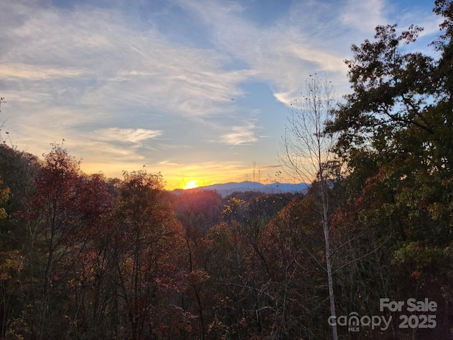 425 Sawmill Creek Rd, Bryson City, NC 28713 - view of mountain backdrop