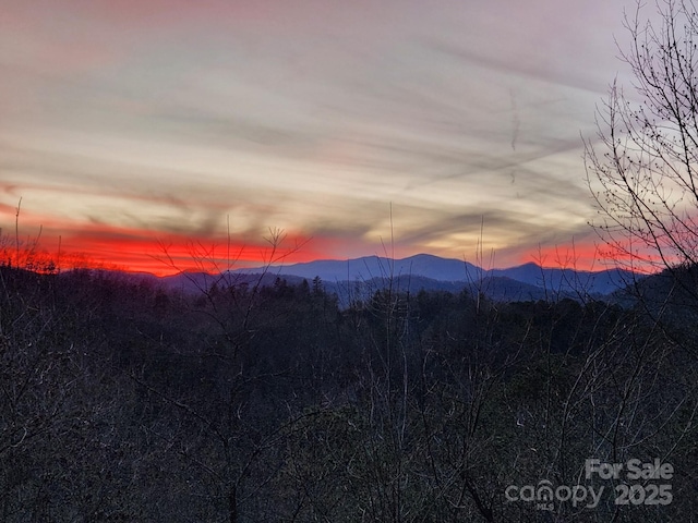 425 Sawmill Creek Rd, Bryson City, NC 28713 - mountain view