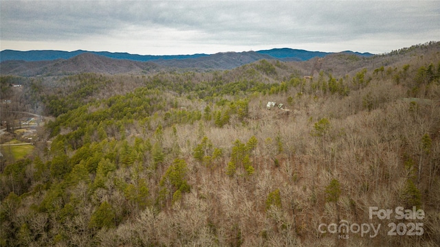 425 Sawmill Creek Rd, Bryson City, NC 28713 - view of mountain background