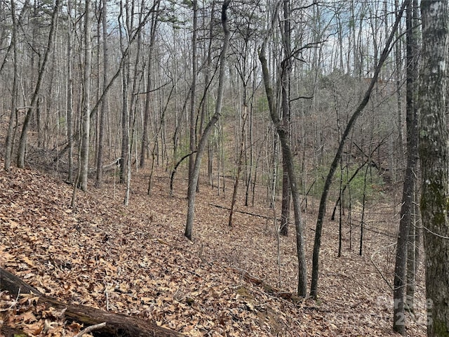 425 Sawmill Creek Rd, Bryson City, NC 28713 - view of wooded area