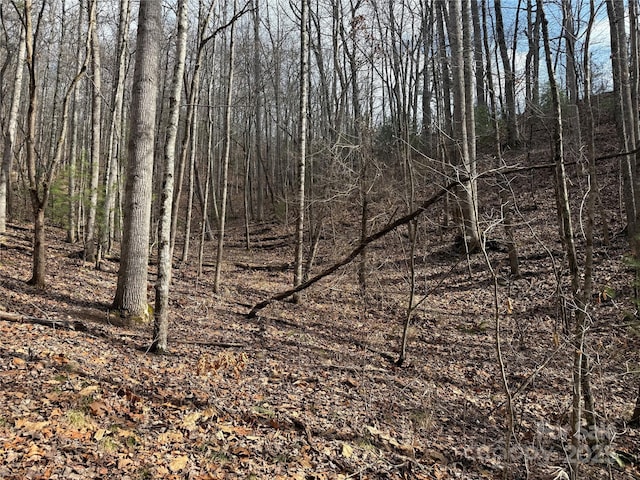 425 Sawmill Creek Rd, Bryson City, NC 28713 - view of local wilderness