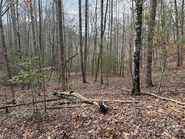 425 Sawmill Creek Rd, Bryson City, NC 28713 - view of wooded area