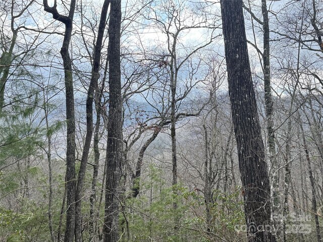 425 Sawmill Creek Rd, Bryson City, NC 28713 - water view featuring a forest