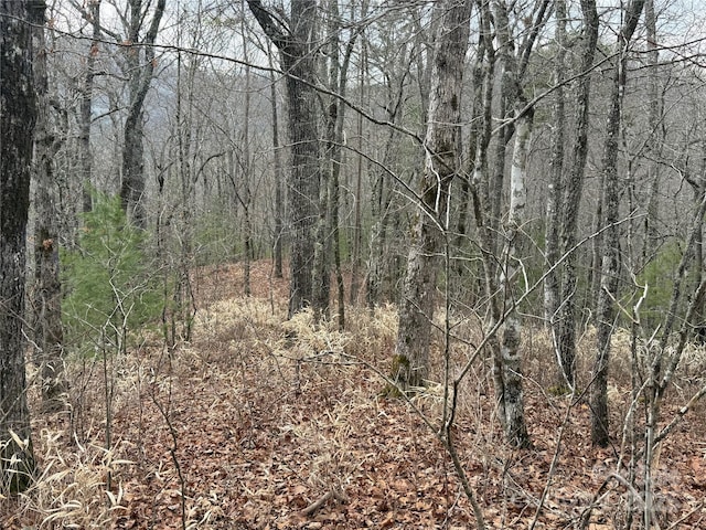 425 Sawmill Creek Rd, Bryson City, NC 28713 - view of tree filled area