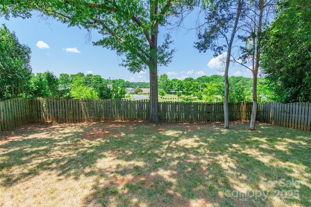 14924 Jerpoint Abby Dr, Charlotte, NC 28273 - view of fenced backyard