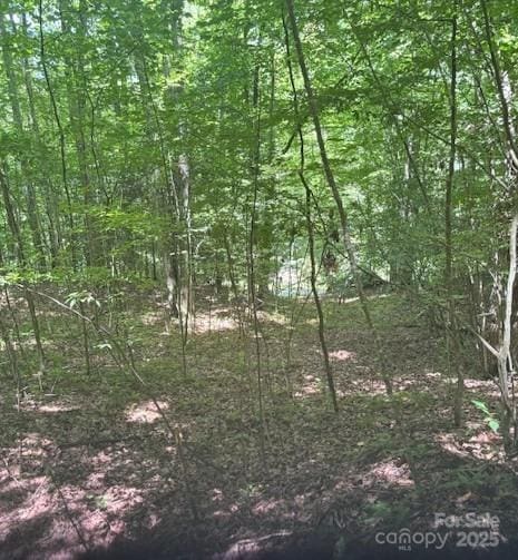 00 Macs Mountain Retreat Ln, Franklin, NC 28734