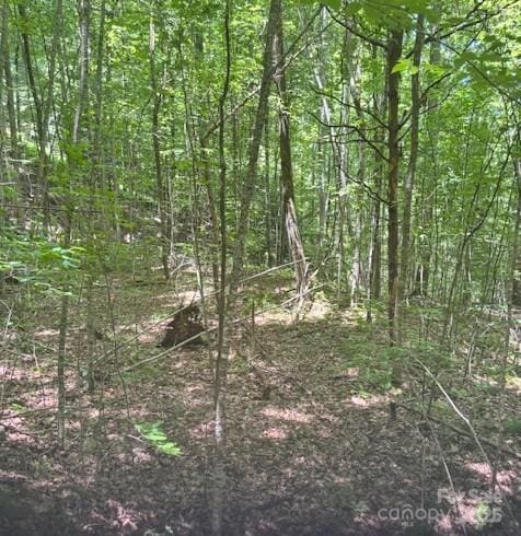 00 Macs Mountain Retreat Ln, Franklin, NC 28734