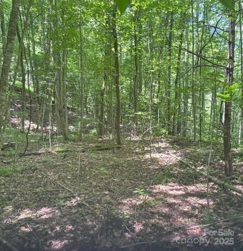 00 Macs Mountain Retreat Ln, Franklin, NC 28734