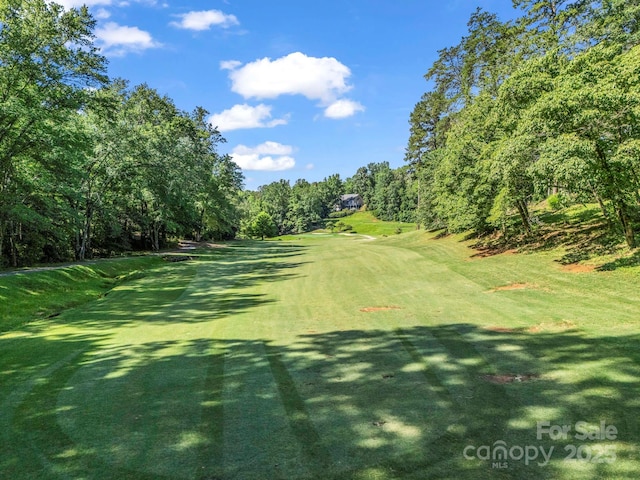 193 Downing Place 36 (Mbl 539-538), Lake Lure, NC 28746 - photo 3
