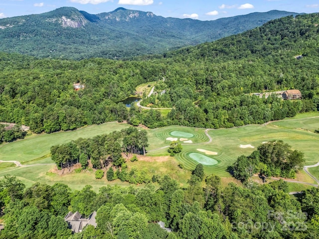 193 Downing Place 36 (Mbl 539-538), Lake Lure, NC 28746 - photo 4