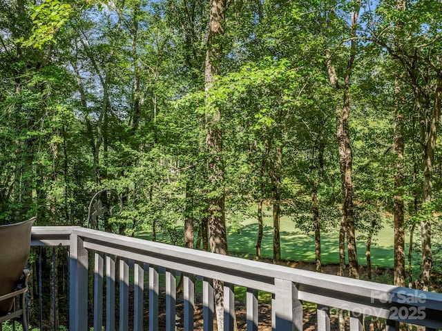 193 Downing Place 36 (Mbl 539-538), Lake Lure, NC 28746 - photo 25