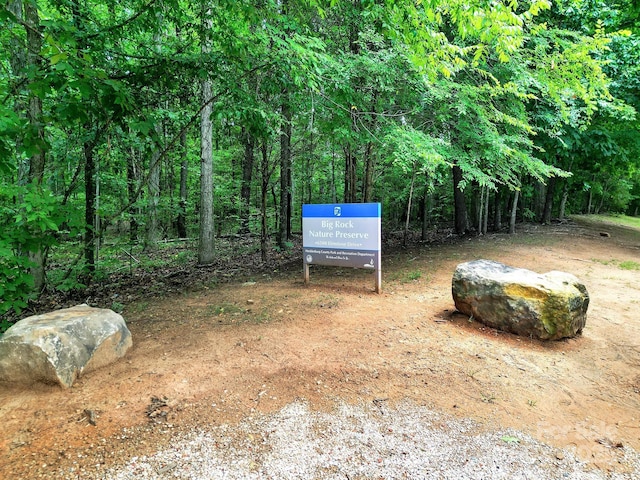 10807 Summitt Tree Ct, Charlotte, NC 28277 - view of yard featuring a forest view
