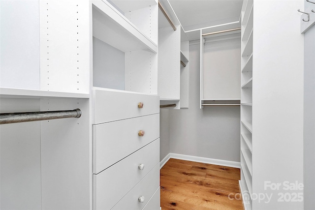 4906 Crooked Oak Ln, Charlotte, NC 28226 - walk in closet featuring wood finished floors