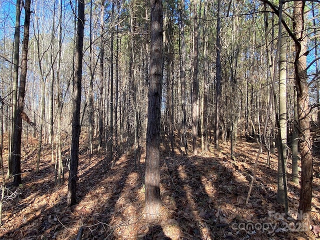 430 21st St SE, Hickory, NC 28602