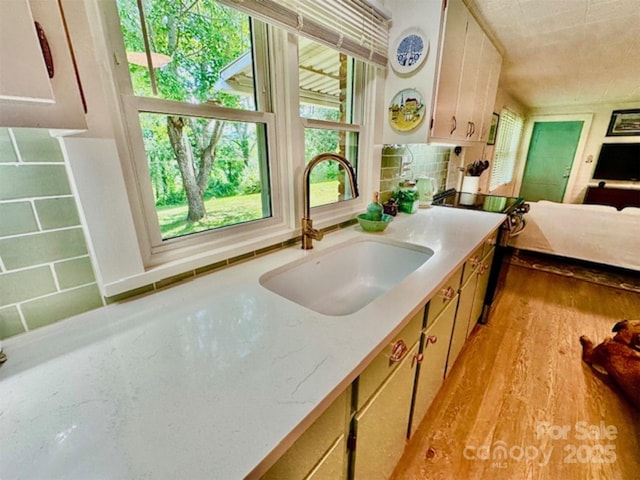 68 Roosevelt Rdg, Canton, NC 28716 - photo 7