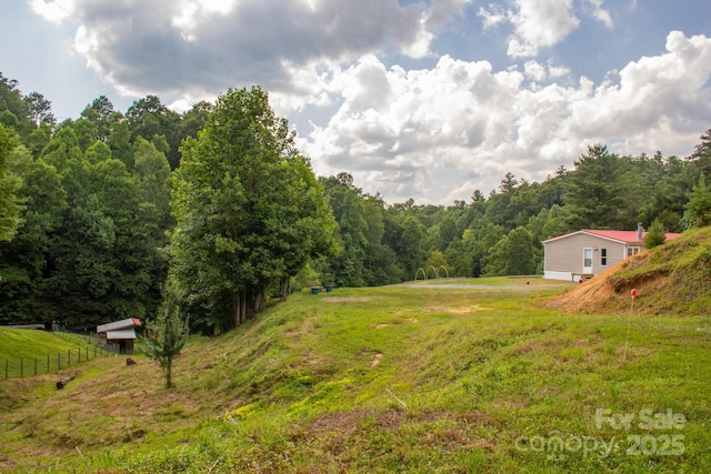3113 Revere Rd, Marshall, NC 28753 - photo 27