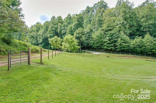 3113 Revere Rd, Marshall, NC 28753 - photo 28