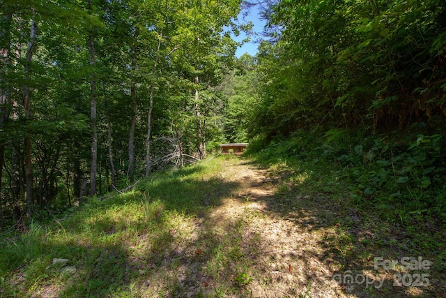 3113 Revere Rd, Marshall, NC 28753 - photo 33