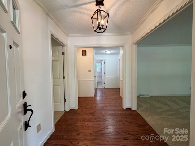 635 Windsor Pl NE, Concord, NC 28025 - corridor featuring ornamental molding, dark wood finished floors, and a textured ceiling