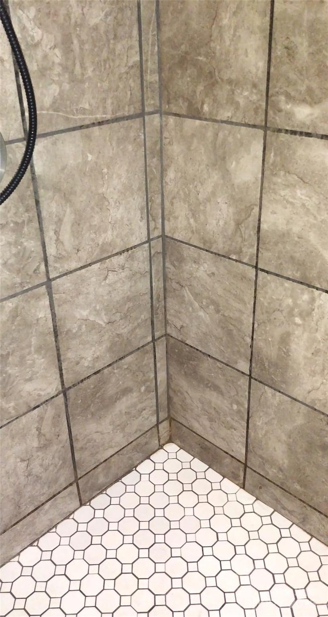 101 Branch Breeze Ln, Zirconia, NC 28790 - bathroom view of tiled shower