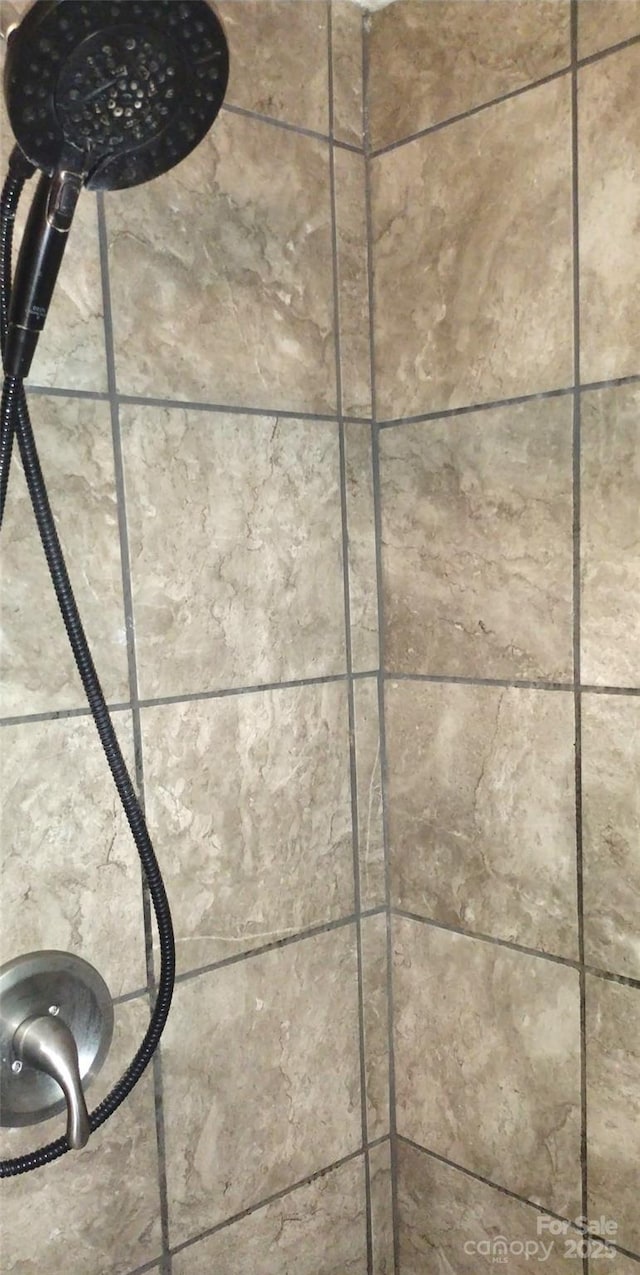 101 Branch Breeze Ln, Zirconia, NC 28790 - bathroom view of tiled shower