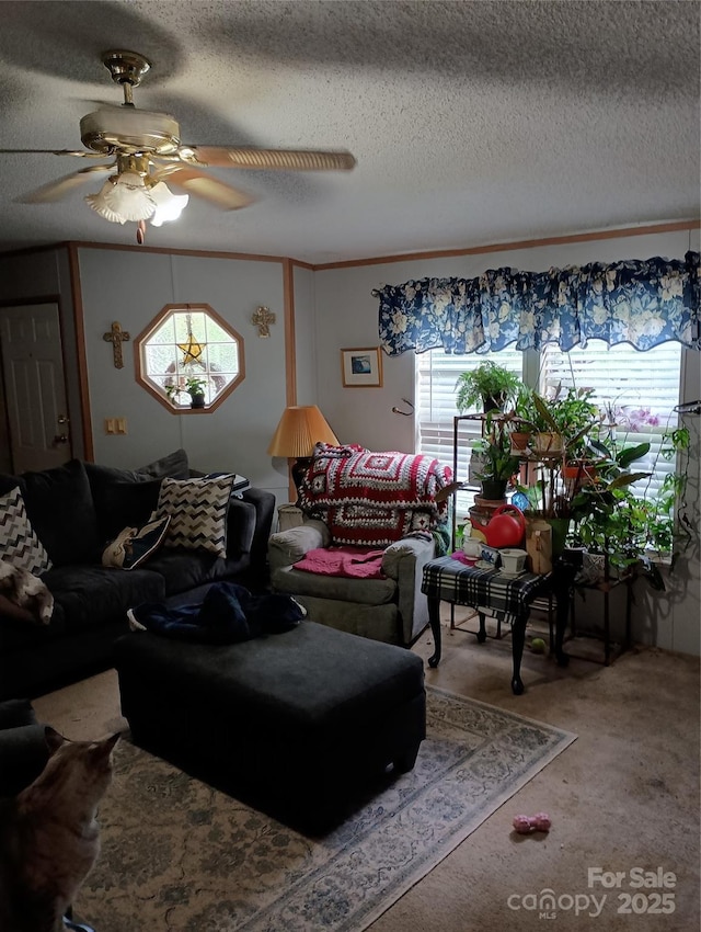 805 Hephzibah Church Rd, Crouse, NC 28033 - photo 9