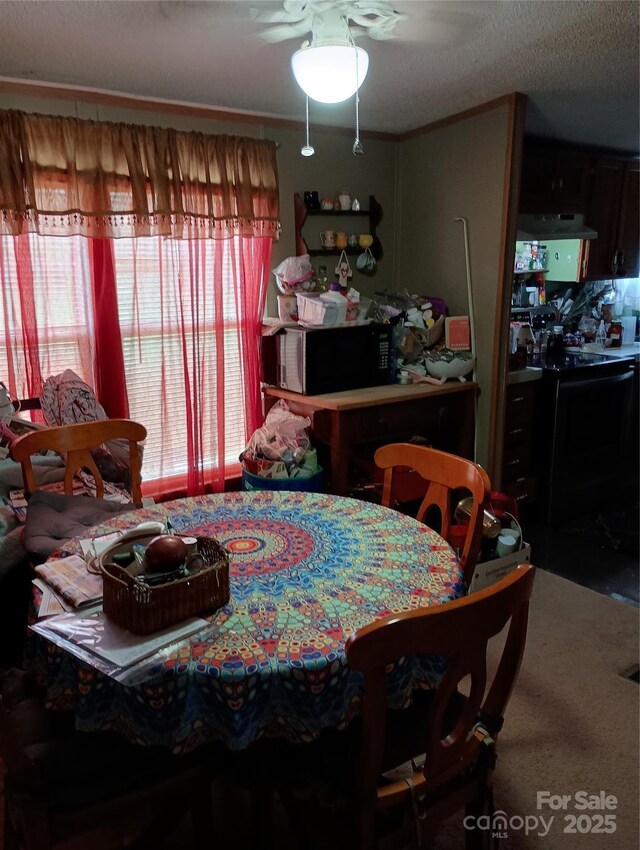 805 Hephzibah Church Rd, Crouse, NC 28033 - photo 11