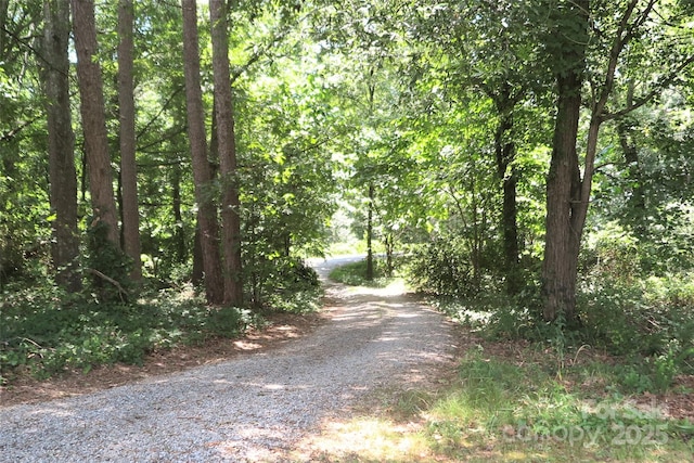 805 Hephzibah Church Rd, Crouse, NC 28033 - photo 13