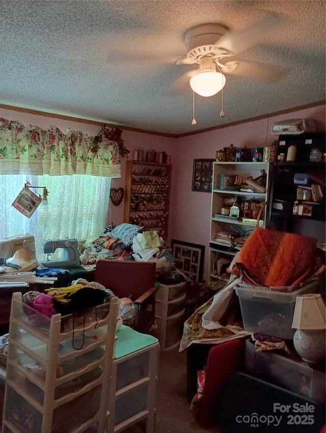 805 Hephzibah Church Rd, Crouse, NC 28033 - photo 22