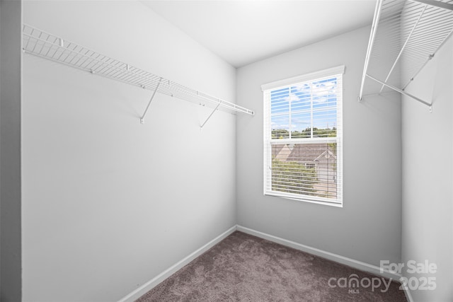 5223 Crystal Lakes Dr, Rock Hill, SC 29732 - photo 20