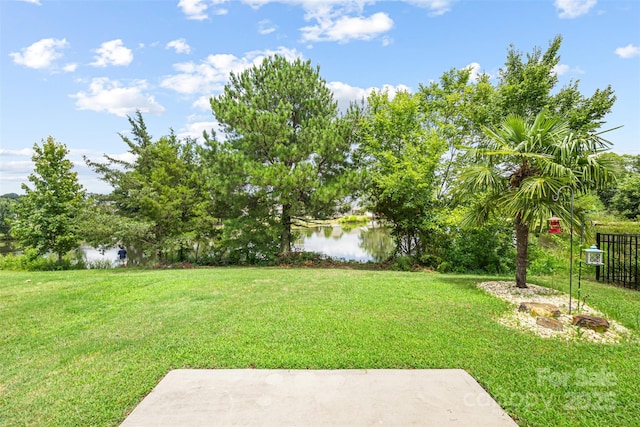 5223 Crystal Lakes Dr, Rock Hill, SC 29732 - photo 25