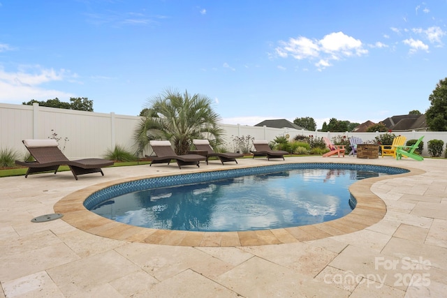 1974 Redwood Dr, Oakboro, NC 28129 - view of pool with a patio area and a fenced backyard