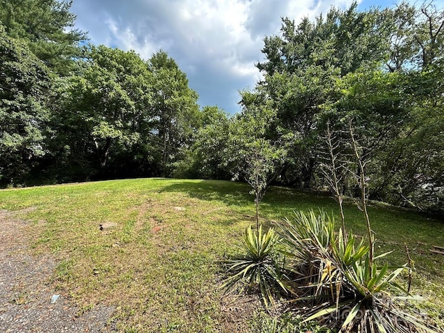 16 Yearwood Dr, Sylva, NC 28779