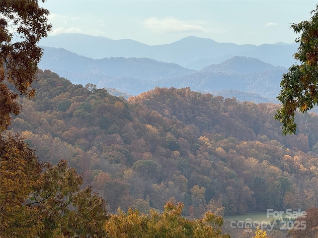2311 Old Mountain Rd, Mars Hill, NC 28754 - mountain view featuring a forest