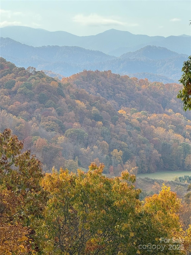 2311 Old Mountain Rd, Mars Hill, NC 28754 - view of mountain background with a heavily wooded area