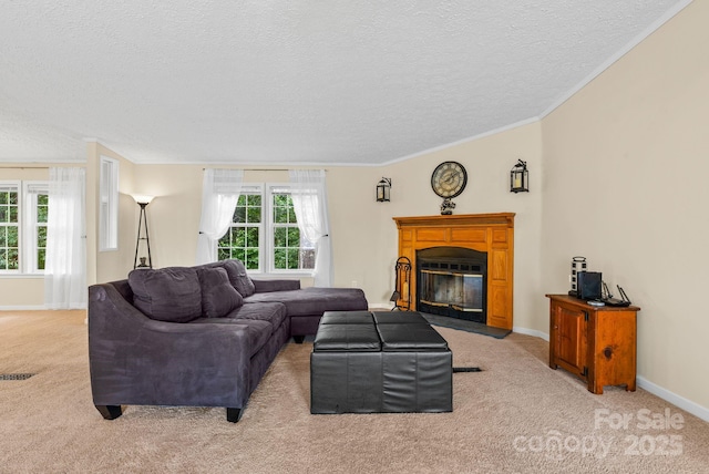 51 Farmstead Rd, Leicester, NC 28748 - photo 6