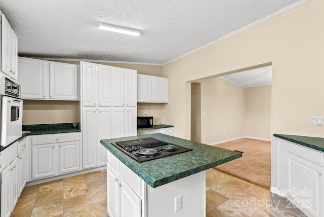 51 Farmstead Rd, Leicester, NC 28748 - photo 13