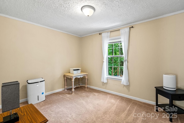 51 Farmstead Rd, Leicester, NC 28748 - photo 18