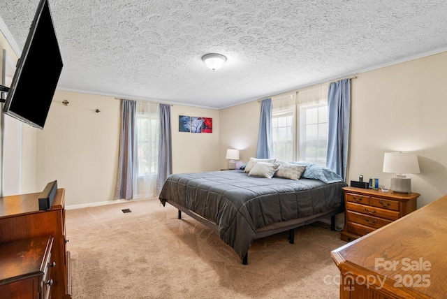 51 Farmstead Rd, Leicester, NC 28748 - photo 19