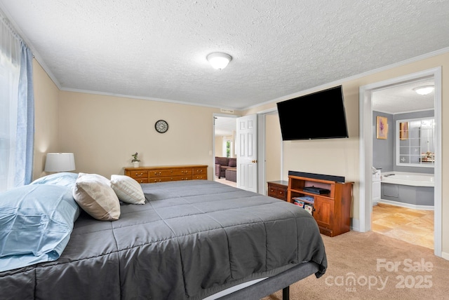 51 Farmstead Rd, Leicester, NC 28748 - photo 20