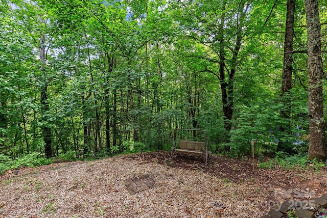 51 Farmstead Rd, Leicester, NC 28748 - photo 25